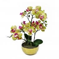 Орхидея фаленопсис  в кашпо 35 см Конэко-О
