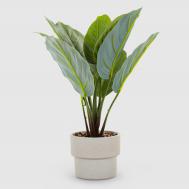 Растение искусственное  в кашпо 35 см Dekor pap