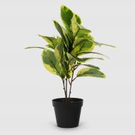 Растение искусственное  в кашпо 45 см Dekor pap