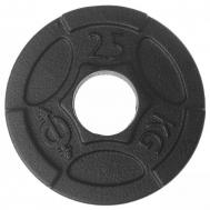 Диск чугунный d51  2,5 кг окрашенный EURO-CLASSIC
