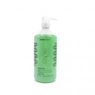 Шампунь для жирных волос освежающий Capilo Ekilibrium Shampoo N.08 EVA PROFESSIONAL HAIR CARE
