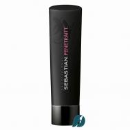 Шампунь для восстановления и гладкости волос PENETRAITT 250.0 SEBASTIAN PROFESSIONAL