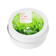 Бальзам губы/кутикула/кожа BALM ALL IN ONE 50.0 TEADAM