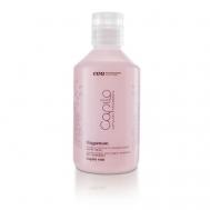 Шампунь для волос против перхоти Capilo Oxygenum Shampoo N.06 EVA PROFESSIONAL HAIR CARE