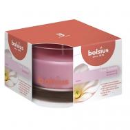 Свеча в стекле арома True scents магнолия 435 Bolsius