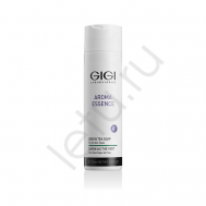 Мыло жидкое Зеленый чай для всех типов кожи Aroma Essence 250.0 GIGI