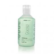 Шампунь для жирных волос Capilo Ekilibrium Shampoo N.08 EVA PROFESSIONAL HAIR CARE