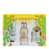 Набор Бразильский кактус Mandacaru L'Occitane Au Bresil