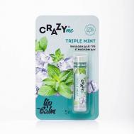 Бальзам для губ Triple Mint с ароматом Тройная Мята 5 CRAZYME