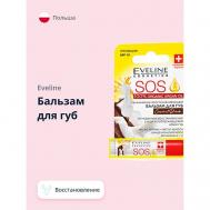 Бальзам для губ ARGAN OIL COCONUT DREAM 4.5 EVELINE