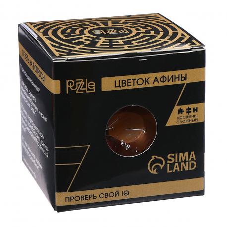 Головоломка деревянная игры разума Puzzle