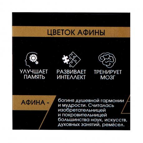 Головоломка деревянная игры разума Puzzle