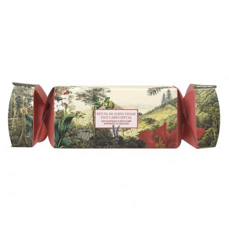 Набор Christmas Cracker Surprises to Discover Face Cares Ritual Payot