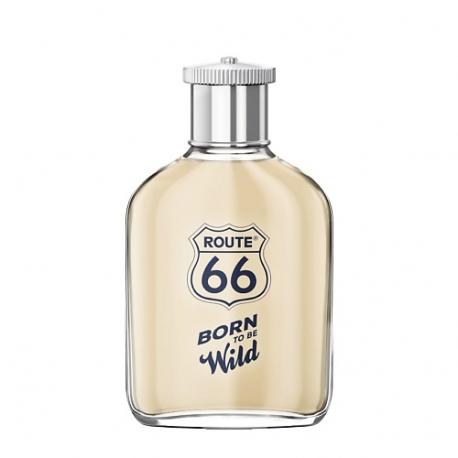 Born To Be Wild 100 ROUTE 66